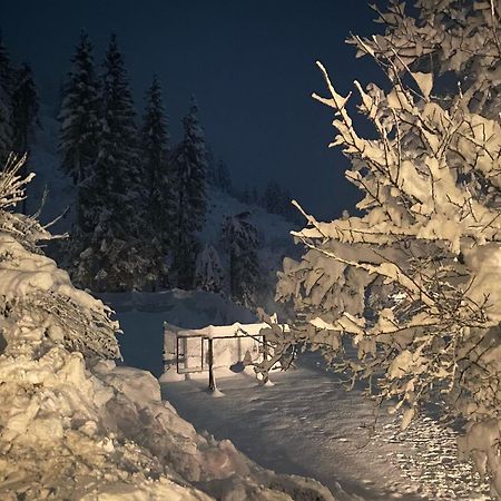 Ferienwohnung Almen-Kräuter-Oberreiter Dellach im Drautal Exterior foto