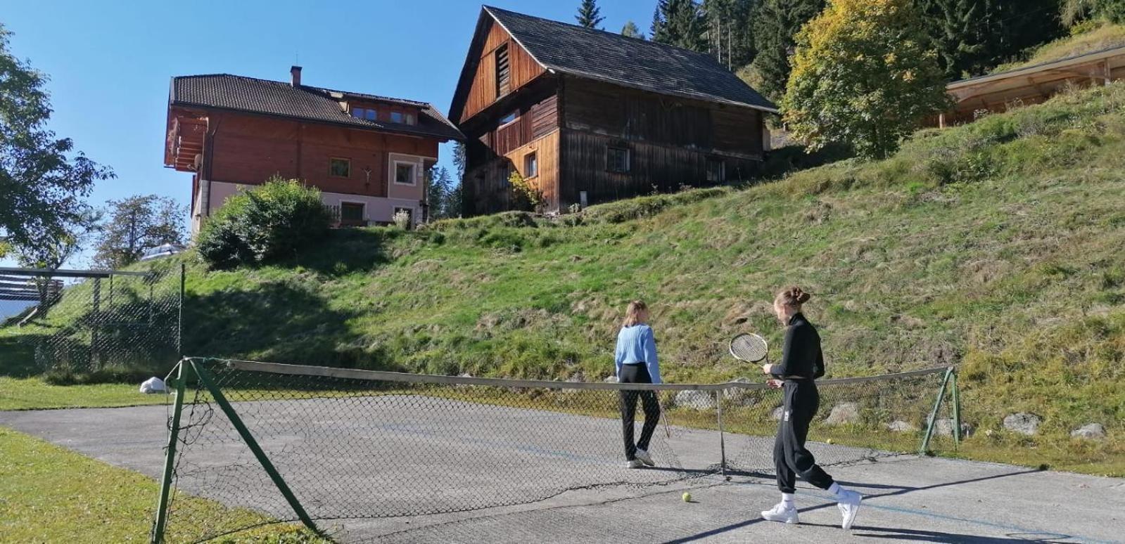 Ferienwohnung Almen-Kräuter-Oberreiter Dellach im Drautal Exterior foto