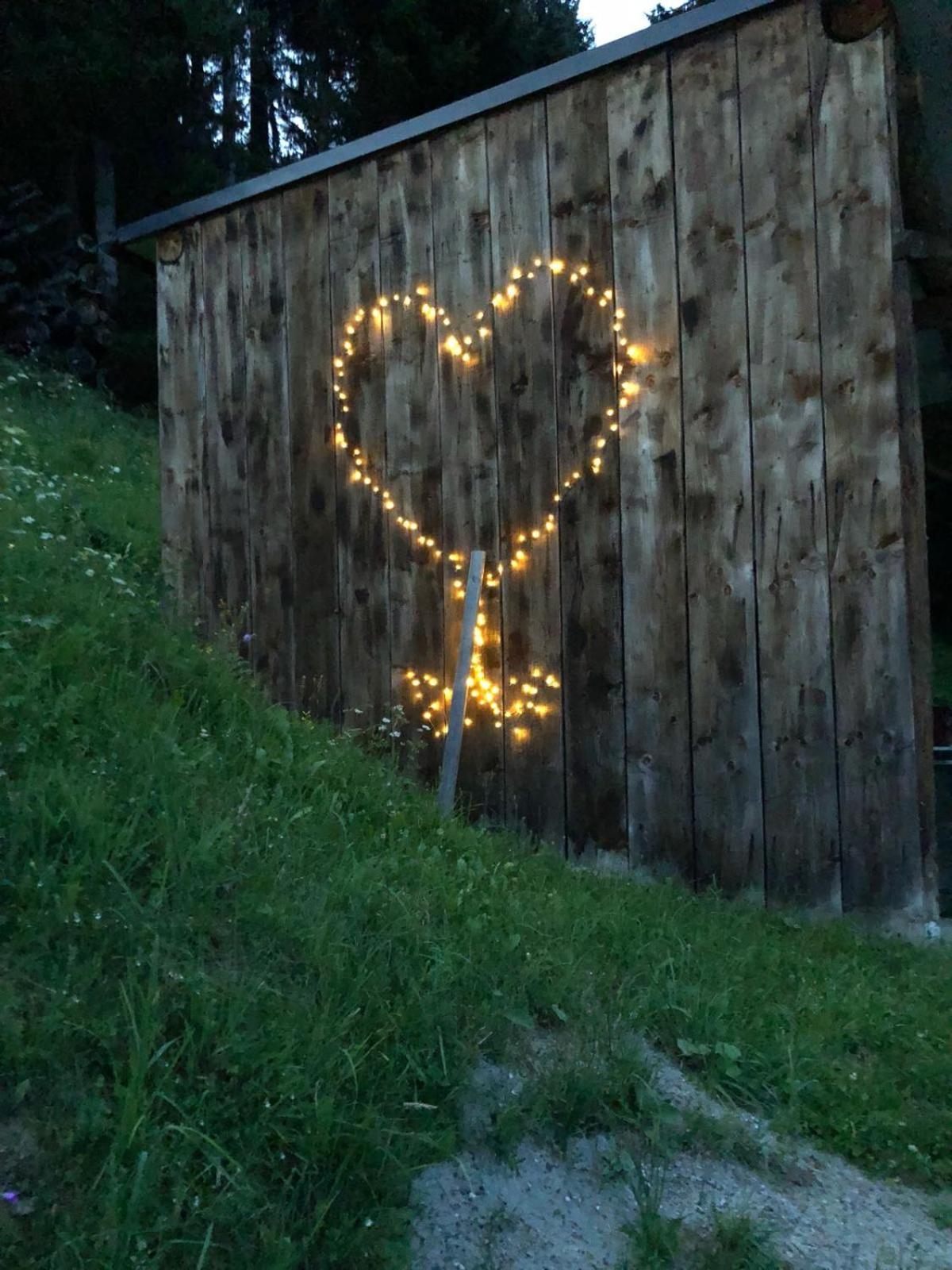 Ferienwohnung Almen-Kräuter-Oberreiter Dellach im Drautal Exterior foto