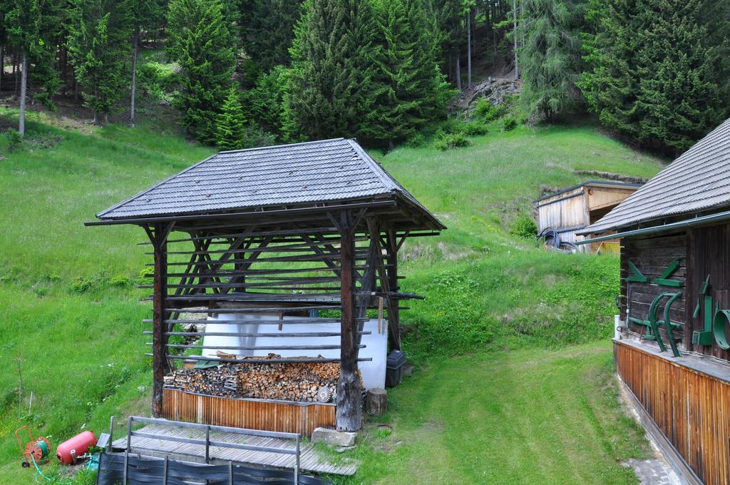 Ferienwohnung Almen-Kräuter-Oberreiter Dellach im Drautal Exterior foto
