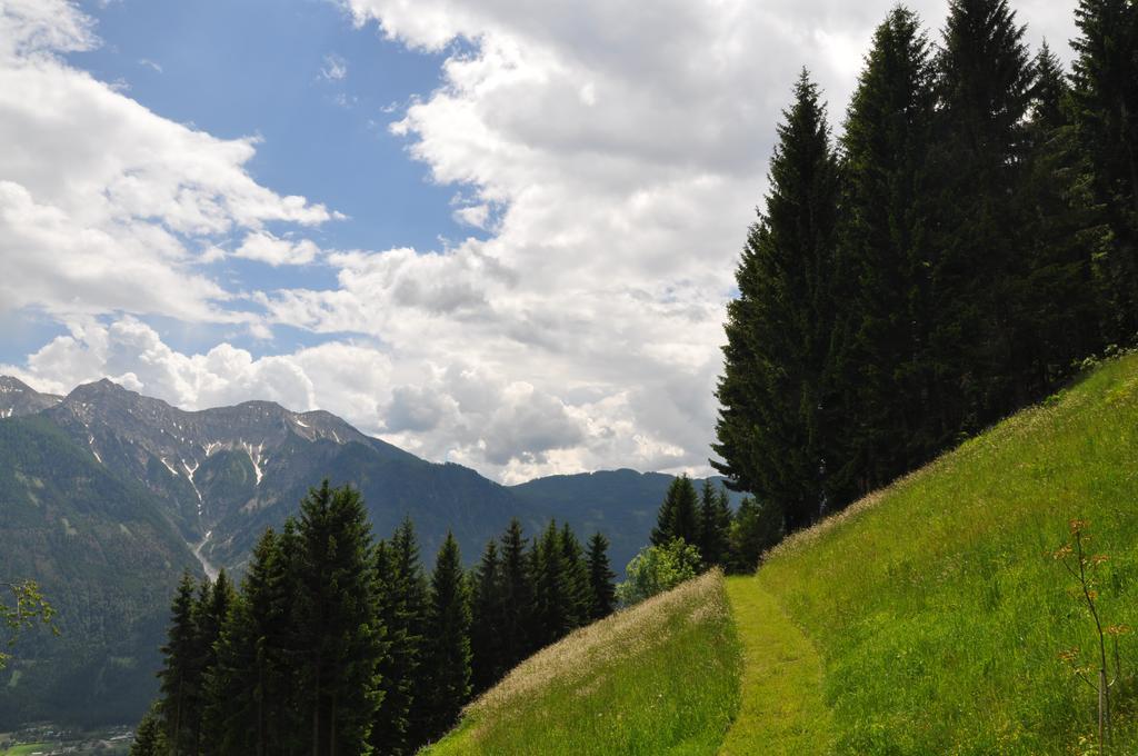 Ferienwohnung Almen-Kräuter-Oberreiter Dellach im Drautal Exterior foto